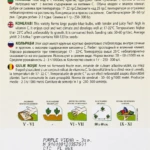 Kohlrabi