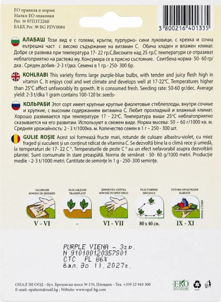 Kohlrabi