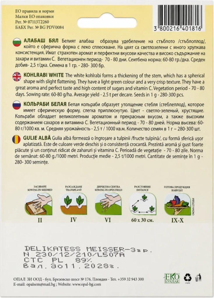 Kohlrabi Weiße Delikatesse