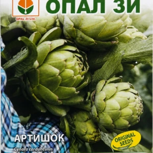 Artyčok