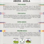 Erbse „Avola“