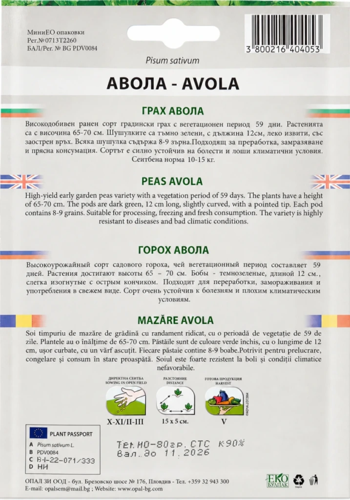Erbse „Avola“