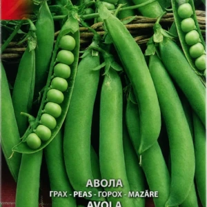 Pea ‘Avola’