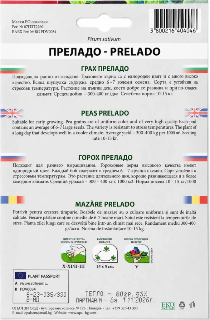 Erbse „Prelado“