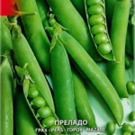 Erbse „Prelado“