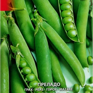 Pea ‘Prelado’