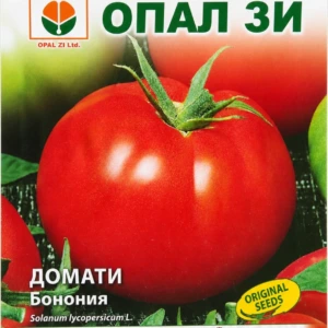 Домати Бонония – лице