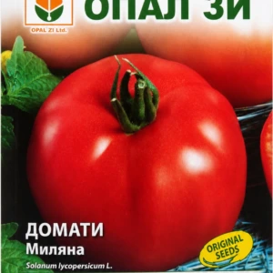 Домати Миляна – лице