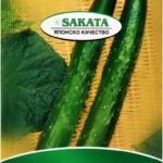 Concombre « Tasty Green »