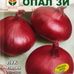 Onion ‘Lilia’