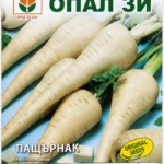 Parsnip