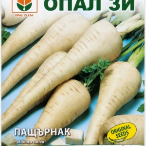 Parsnip