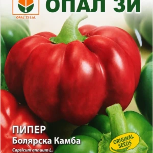 Bojarská rajčinová paprika