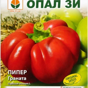 Paprika „Granata“