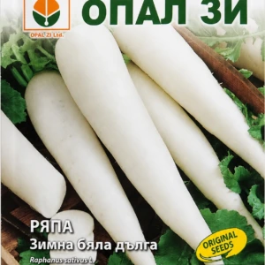 Ряпа бяла дълга – лице