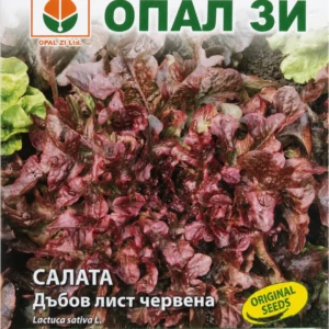 Салата Дъбов лист червена – лице