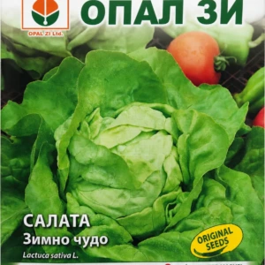 Салата Зимно чудо – лице