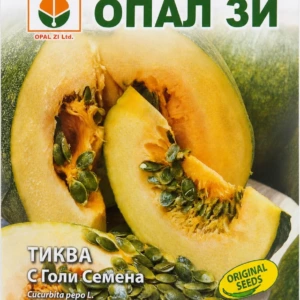 Тиква Миранда с голи семена – лице