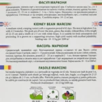 Bean ‘Marconi’