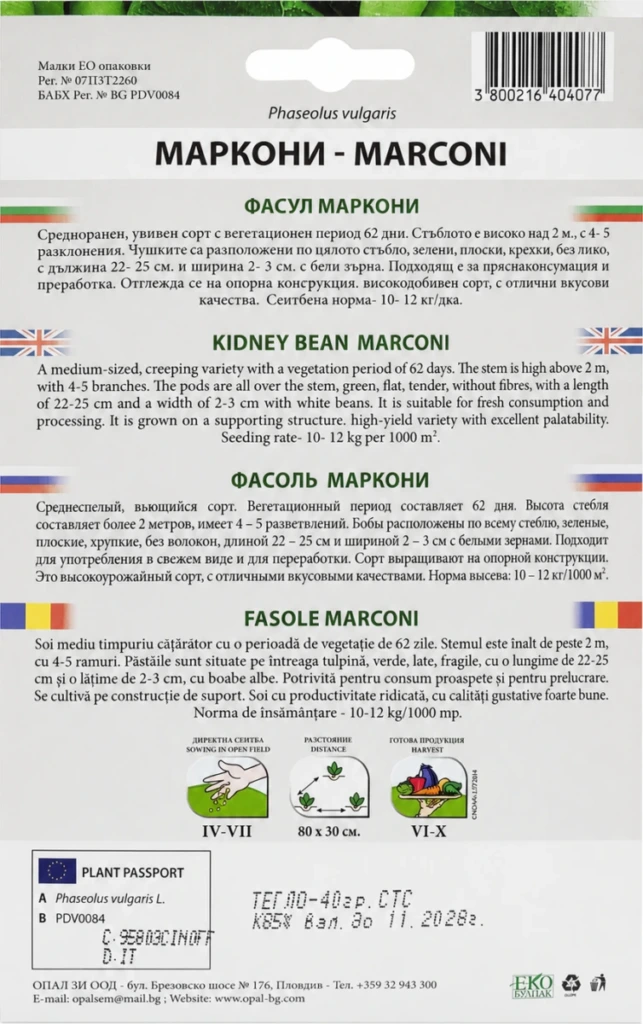 Bean ‘Marconi’