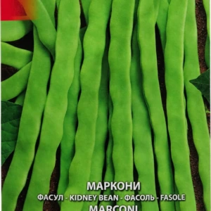 Фасул Маркони – лице
