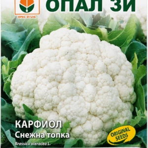 Цветно зеле Сноубол – лице