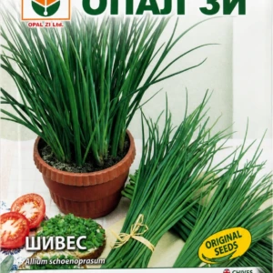 Шивес – лице