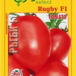 Tomato ‘Rugby’