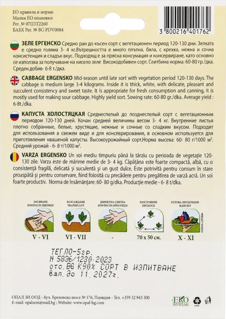 Varză Burlacul