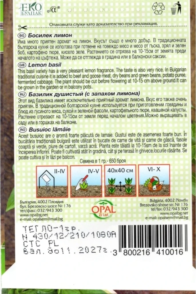 Citronová bazalka