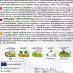 Pomidor koktajlowy pomarańczowy