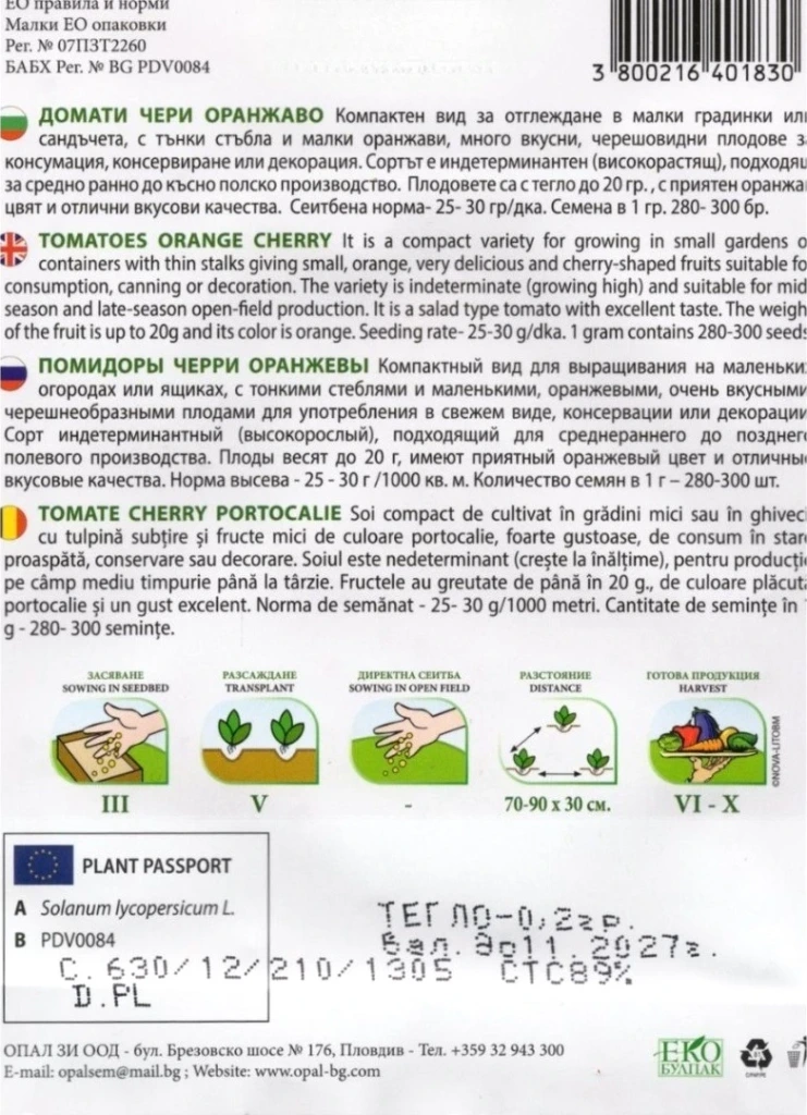 Pomidor koktajlowy pomarańczowy
