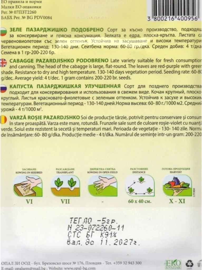 Varză Pazardzhik îmbunătățită