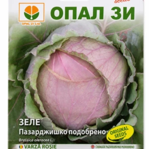 Ulepszona kapusta Pazardzhik